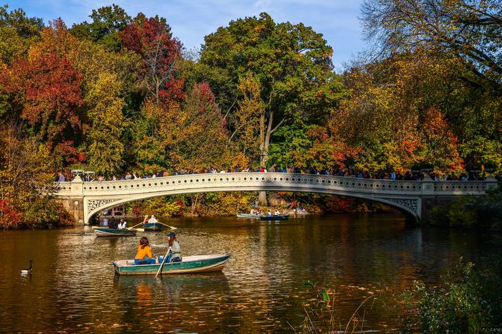 A view of Bow Bridge and the Lake during fall in Central Park.